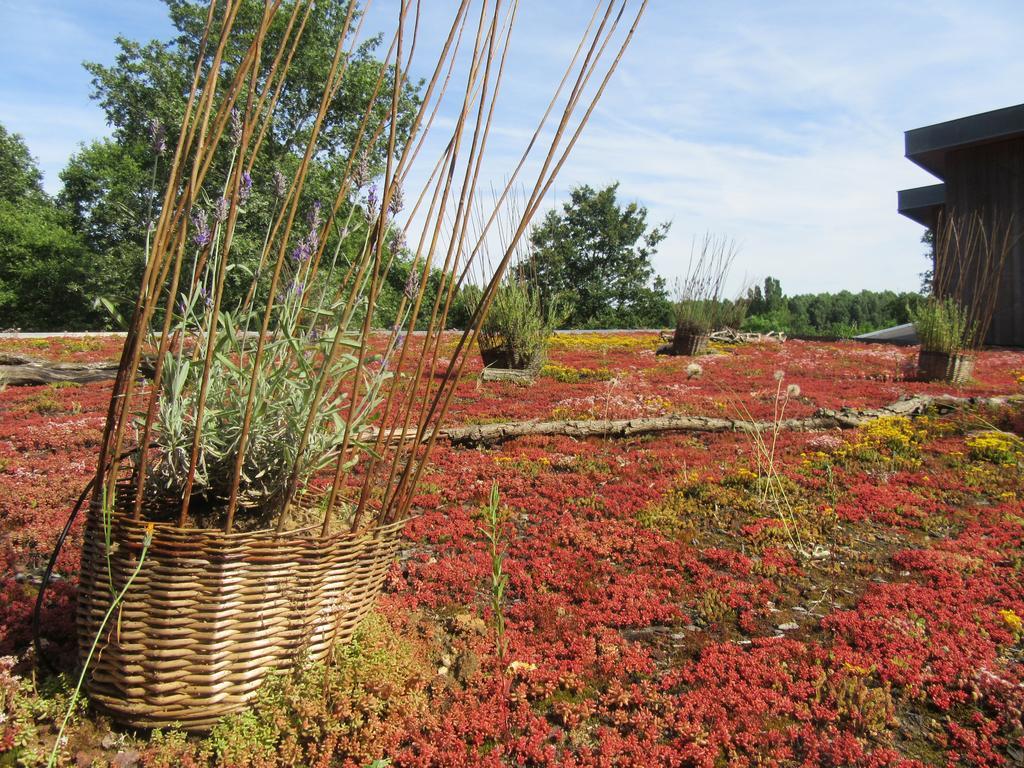 D'Une Autre Nature Mesland Εξωτερικό φωτογραφία